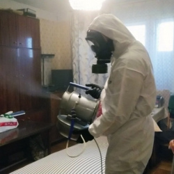 Дезинфекция от клопов в Железногорске