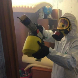 Уничтожение клопов в квартире. Железногорск